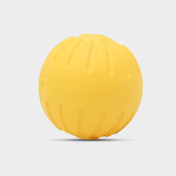 Feandrea feandrea PPY001G03