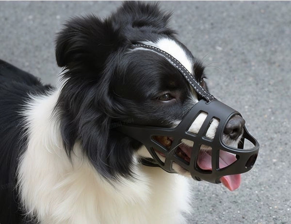 Feandrea Dog Muzzle PPT089KT05