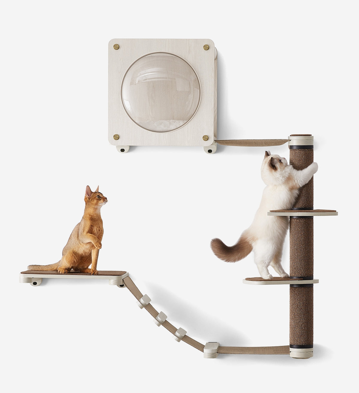 WallMounted Cat Furniture Clickat by Feandrea