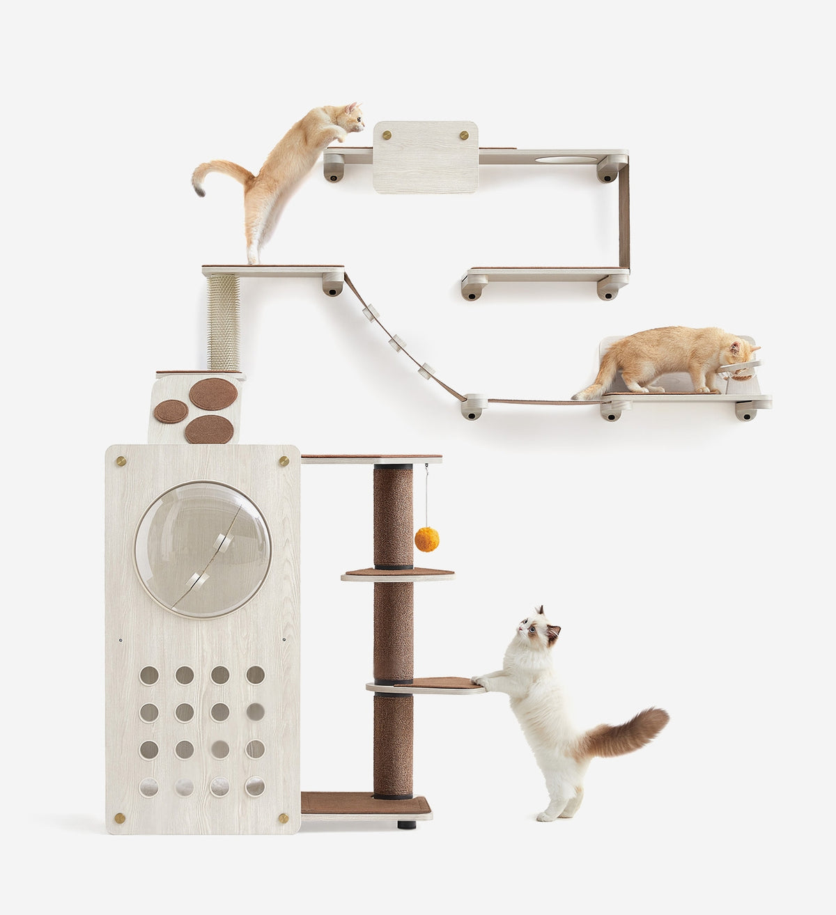 Wall-Mounted Cat Furniture | Clickat by Feandrea