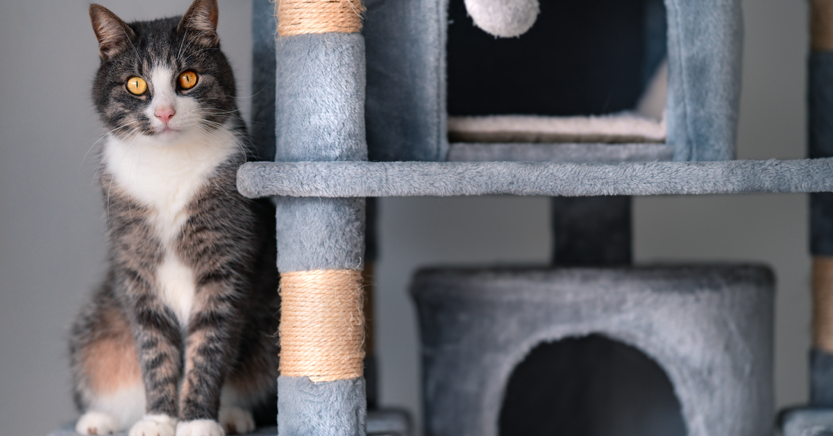 DIY Cat Tree Plan To Build An Awesome Tree For Your Cat SONGMICS HOME
